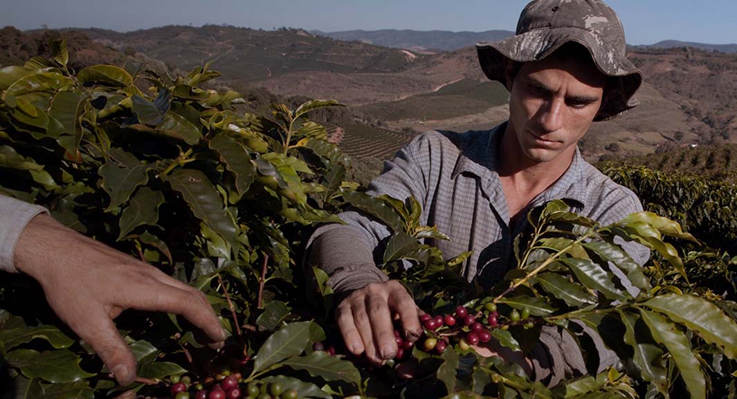 LAVAZZA - Istorija i razvoj poznate kompanije za proizvodnju kafe 2 Lavazza Drustvena odgovornost i odrzivost 1